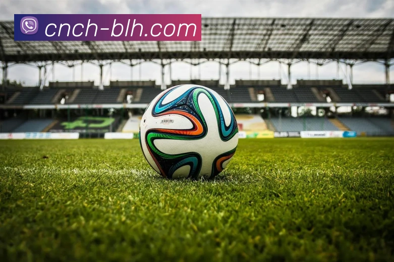 4001老百汇官网平台生态图